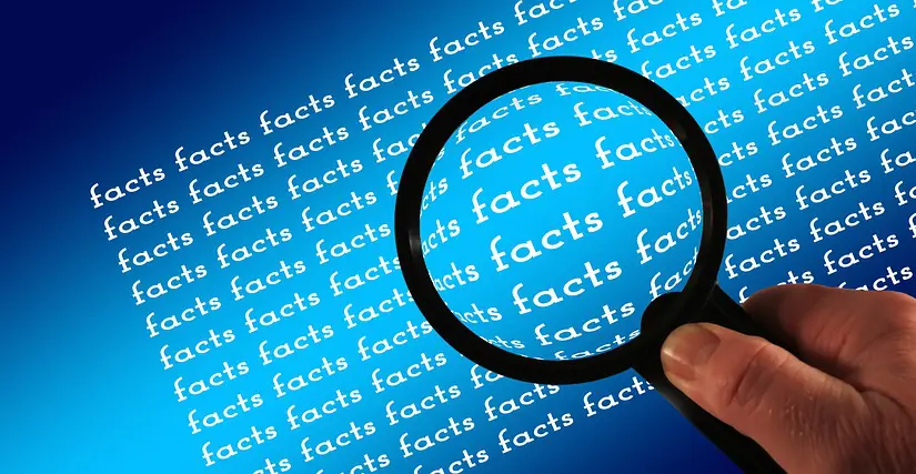 translation facts