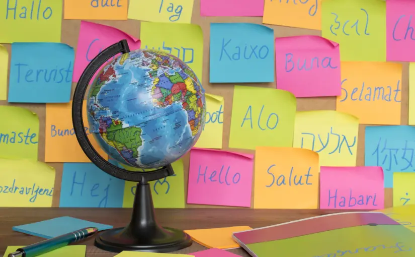 Translation Services