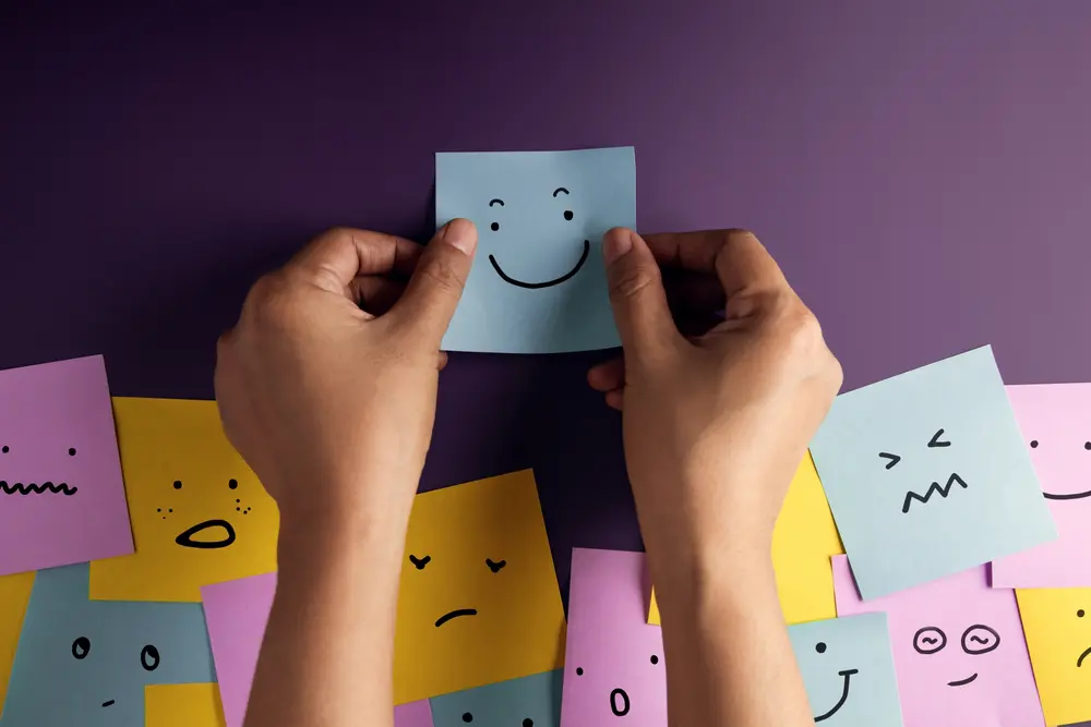 Language and Emotion: How Interpretation Influences Emotional Expression